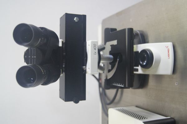 正立型蛍光顕微鏡